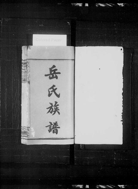 湖南岳氏族谱-岳氏五修族谱 [29卷,首4卷].pdf电子版插图2