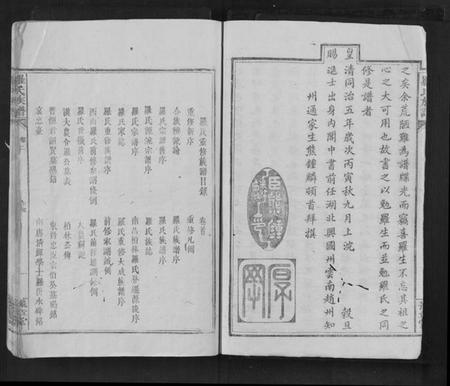 江西罗氏族谱-罗氏族谱 [8卷,含卷首].pdf电子版插图3