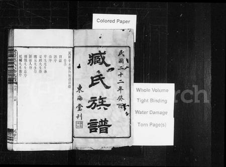 湖南臧氏族谱-臧氏族谱 [29卷,首1卷].pdf电子版插图2