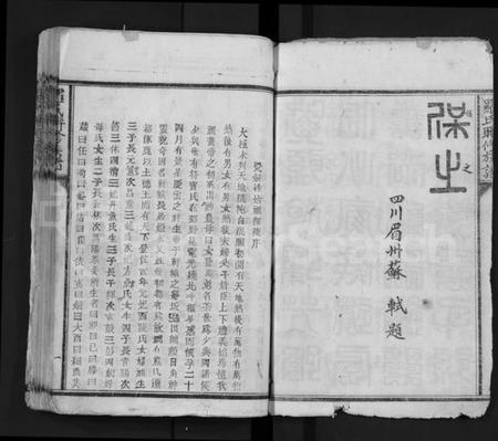 江西罗氏族谱-罗氏联修族谱 [不分卷].pdf电子版插图3