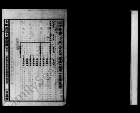 湖南张氏族谱-七帐张氏七修族谱 [8卷,首5卷,末1卷].pdf电子版插图3