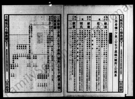 湖南张氏族谱-七帐张氏七修族谱 [8卷,首5卷,末1卷].pdf电子版插图4