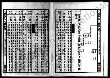 湖南张氏族谱-七帐张氏七修族谱 [8卷,首5卷,末1卷].pdf电子版插图5