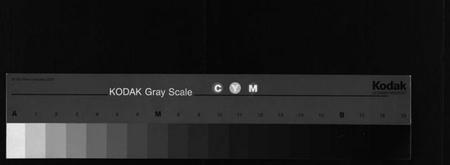 湖南张氏族谱-上湘赫门楼张氏四修族谱 [9卷,首1卷].pdf电子版
