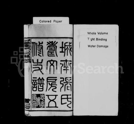 湖南张氏族谱-城南张氏寿文房五修支谱 [16卷].pdf电子版插图2