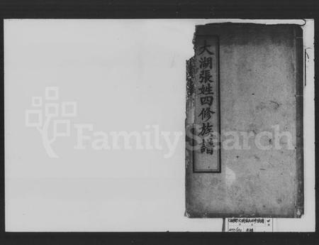 湖南张氏族谱-大湖张姓四修族谱 [10卷,首1卷].pdf电子版