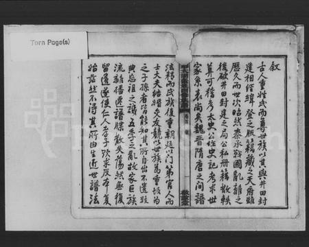 湖南张氏族谱-大湖张姓四修族谱 [10卷,首1卷].pdf电子版插图3