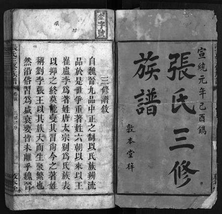 湖南张氏族谱-张氏三修族谱 [6卷,首末各1卷].pdf电子版插图2