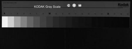 湖南张氏族谱-张氏六修支谱[8卷,首1卷,末1卷].pdf电子版