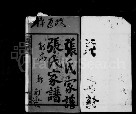 湖南张氏族谱-张氏宗谱 [10卷,首1卷].pdf电子版插图2