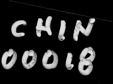 湖南张氏族谱-张氏家谱 [5卷,首1卷].pdf电子版插图1