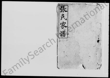 湖南张氏族谱-张氏家谱 [5卷,首1卷].pdf电子版插图2