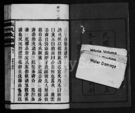 湖南张氏族谱-张氏庆云公房支谱 [36卷,含首1卷].pdf电子版插图4