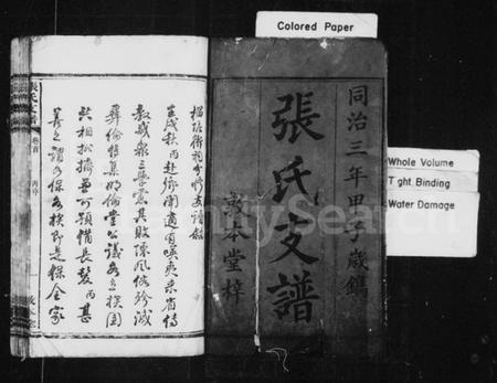 湖南张氏族谱-张氏支谱 [5卷,首1卷].pdf电子版插图1