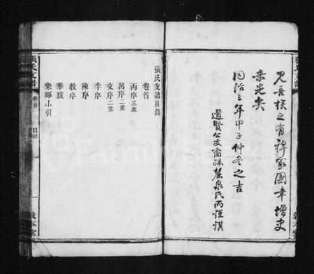 湖南张氏族谱-张氏支谱 [5卷,首1卷].pdf电子版插图5