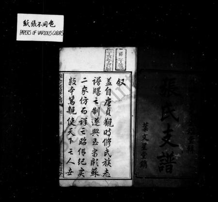 湖南张氏族谱-张氏支谱 [5卷].pdf电子版插图2