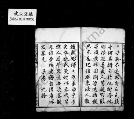 湖南张氏族谱-张氏支谱 [5卷].pdf电子版插图3