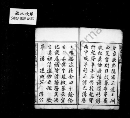 湖南张氏族谱-张氏支谱 [5卷].pdf电子版插图5