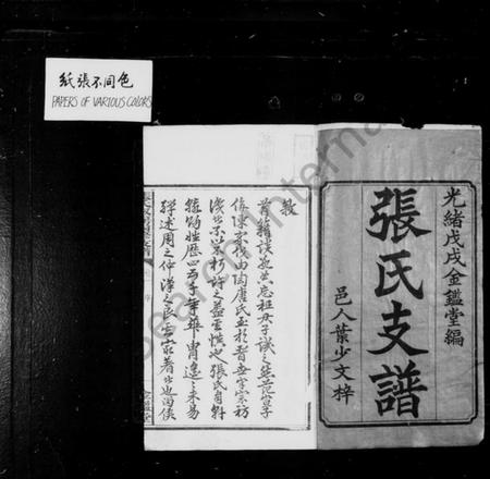 湖南张氏族谱-张氏支谱 [5卷].pdf电子版插图1