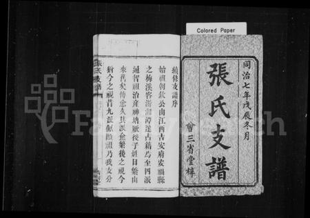 湖南张氏族谱-张氏支谱 [残卷].pdf电子版插图2