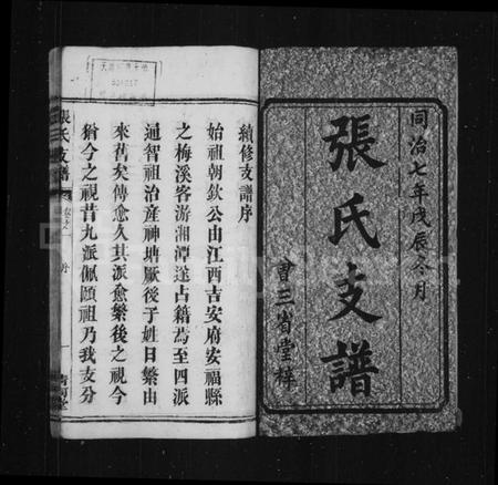 湖南张氏族谱-张氏支谱 [残卷].pdf电子版插图3