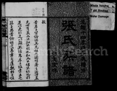 湖南张氏族谱-张氏族谱 [12卷,首1卷].pdf电子版插图3