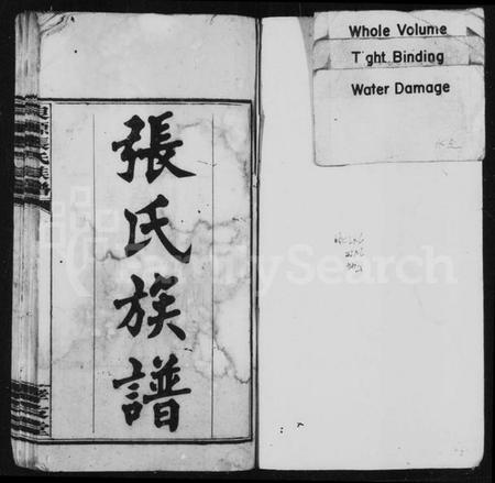 湖南张氏族谱-良源张氏族谱 [12卷].pdf电子版插图2