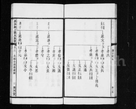 湖南张氏族谱-张氏族谱 [12卷].pdf电子版插图2