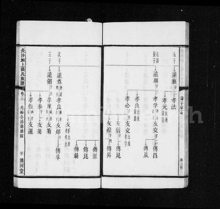 湖南张氏族谱-张氏族谱 [12卷].pdf电子版插图4