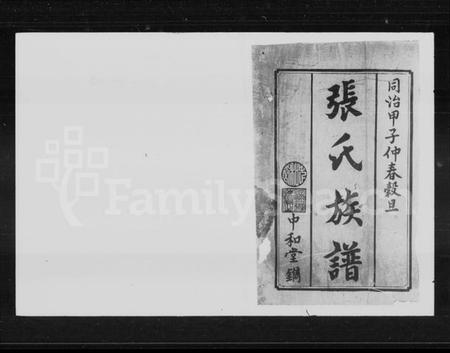 湖南张氏族谱-张氏族谱 [16卷,首1卷].pdf电子版插图2