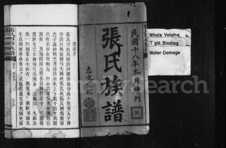 湖南张氏族谱-张氏四修族谱 [16卷,首末各1卷].pdf电子版插图3