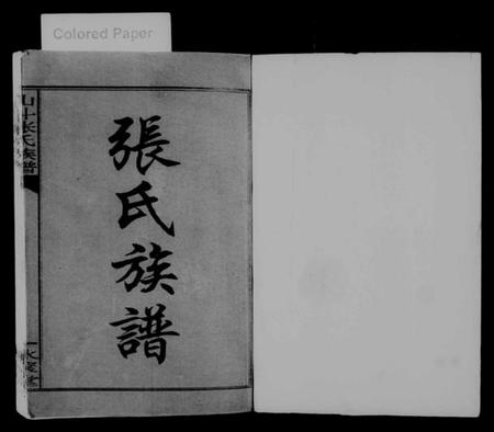 湖南张氏族谱-张氏族谱 [17卷].pdf电子版插图2