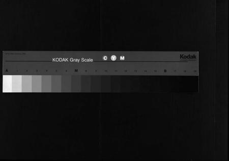 湖南张氏族谱-张氏族谱 [19卷,首1卷].pdf电子版