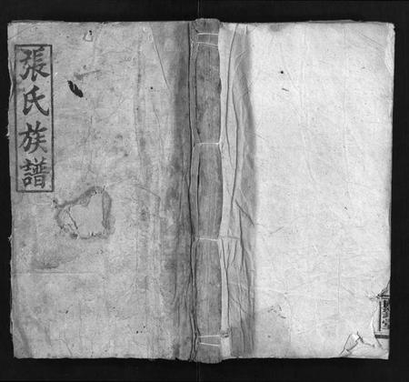 湖南张氏族谱-张氏族谱 [19卷,首1卷].pdf电子版插图1