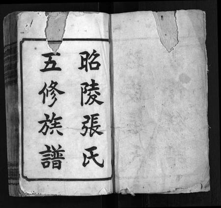 湖南张氏族谱-张氏族谱 [19卷,首1卷].pdf电子版插图2