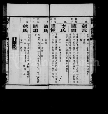 湖南张氏族谱-张氏族谱 [37卷,首1卷].pdf电子版插图2