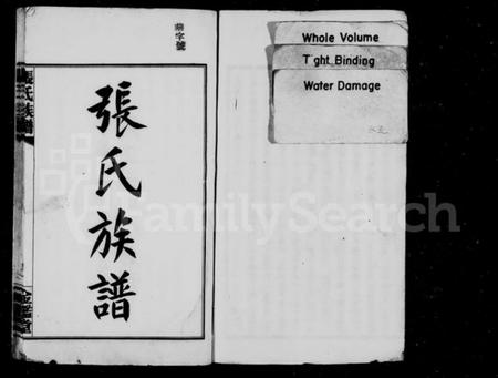 湖南张氏族谱-张氏族谱 [64卷,含卷首].pdf电子版插图2