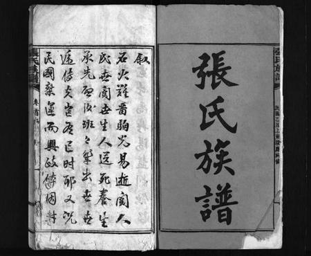 湖南张氏族谱-张氏族谱 [6卷,首3卷].pdf电子版插图3