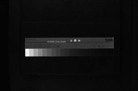 湖南张氏族谱-张氏族谱 [不分卷].pdf电子版