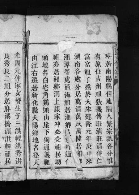 湖南张氏族谱-张氏族谱 [不分卷].pdf电子版插图4