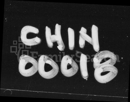 湖南张氏族谱-张氏族谱 [卷首,尾].pdf电子版插图1