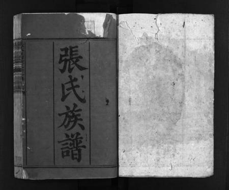 湖南张氏族谱-张氏柱国堂二十一修族谱 [总卷数不详].pdf电子版插图2