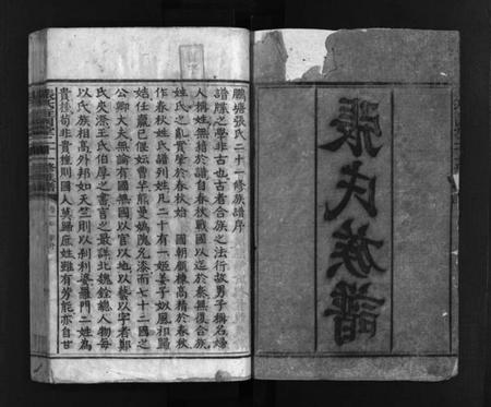 湖南张氏族谱-张氏柱国堂二十一修族谱 [总卷数不详].pdf电子版插图3