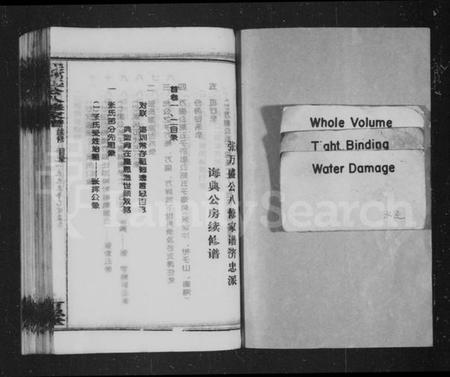 湖南张氏族谱-张万盛公家谱 [26卷].pdf电子版插图2