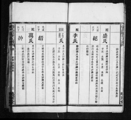 湖南张氏族谱-星洲张氏支谱 [3卷].pdf电子版插图5