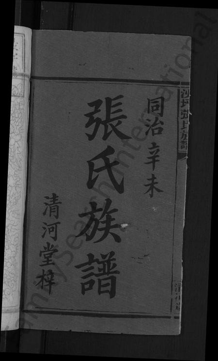 湖南张氏族谱-沙坪张氏族谱 [7卷,首2卷].pdf电子版插图2