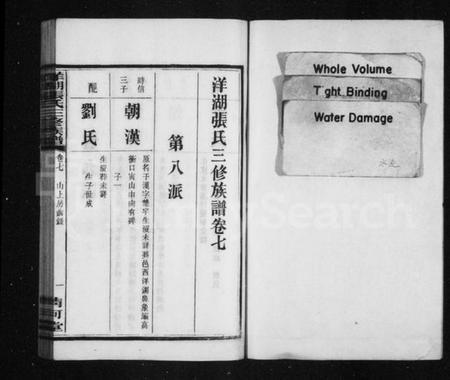 湖南张氏族谱-洋湖张氏三修族谱 [15卷含卷首,末1卷].pdf电子版插图3