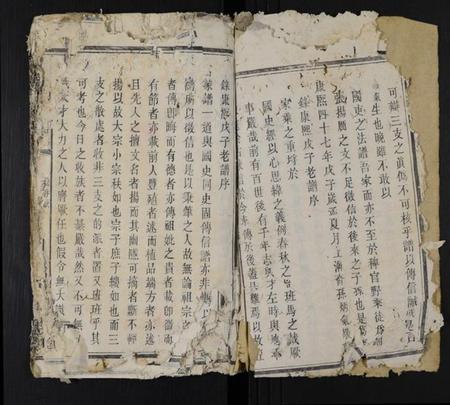 湖南张氏族谱-沩寕水口先儒裔张氏七修谱 [12卷].pdf电子版插图4