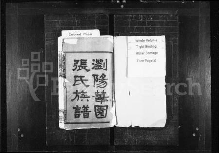 湖南张氏族谱-张氏族谱 [22卷,首1卷].pdf电子版插图2