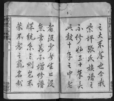 湖南张氏族谱-紫坪张氏三修支谱 [8卷].pdf电子版插图2